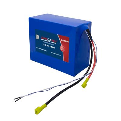 Paquetes de baterías LiFePO4 de 24V 20Ah