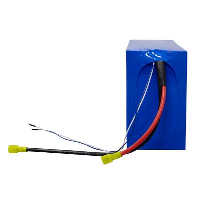 Paquetes de baterías LiFePO4 de 24V 20Ah