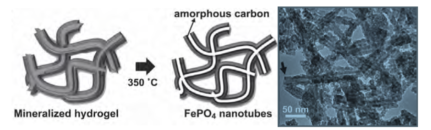 síntesis de materiales nanoestructurados con agentes biológicos